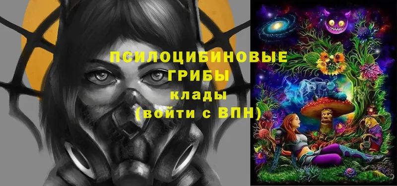 OMG ссылки  Нестеров  Псилоцибиновые грибы прущие грибы 